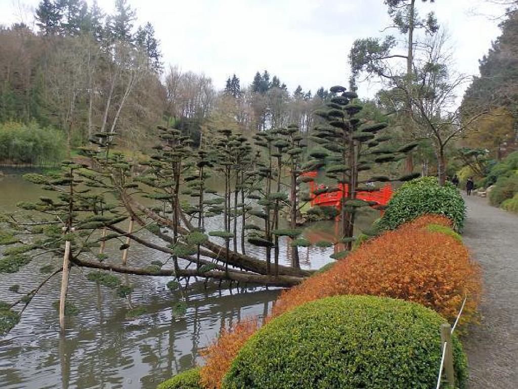 149 PARC ORIENTAL DE MAULEVIER MAINE ET LOIRE 2016 N1_000045.jpg